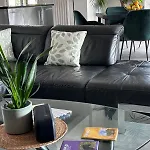 Villa Maison *